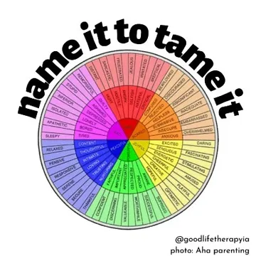 Name it to tame it infographic